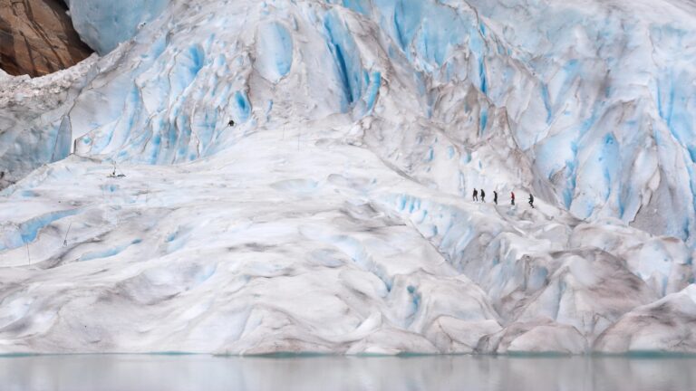 glacier walk