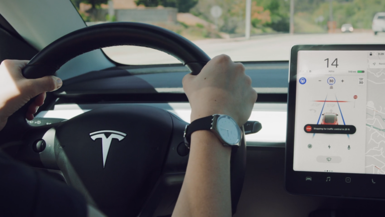 teslafsdbetaaa